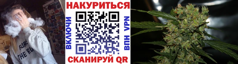 Конопля индика  Гдов 